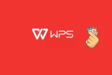 256 copy.webp