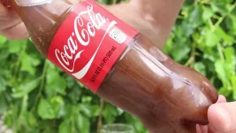make-self-freezing-coca-cola-slushy-or-any-kind-instant-soda-slurpee.w1456.jpg