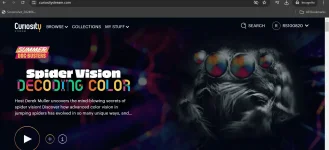 Screenshot 2024-06-29 153152.webp