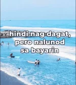 1719831530514.webp
