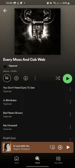 Screenshot_20240701_224502_Spotify.png