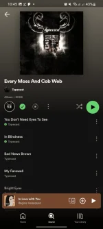 Screenshot_20240701_224541_Spotify.png