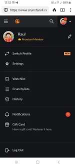 Screenshot_20240703_125342_DuckDuckGo.webp