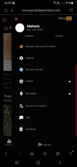 Screenshot_20240703-225313_Samsung Internet.webp