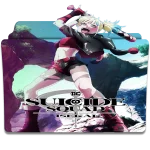 ssi.webp