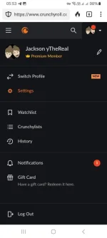 Screenshot_20240705_055313_DuckDuckGo.webp