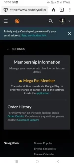 Screenshot_20240705_160835_DuckDuckGo.webp