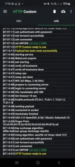 Screenshot_20240708_071504_HTTP Custom.webp