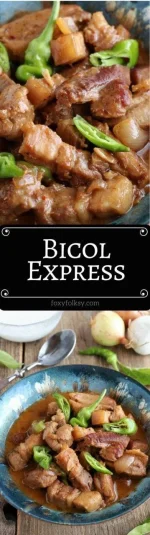Bicol E×ρréšš - Foxy Folksy.webp