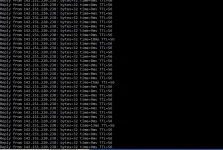 1.webp
