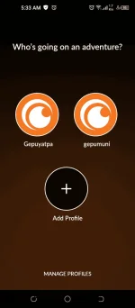 Screenshot_20240710-053323.webp