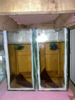 IMG_1452.webp IMG_1452.webp