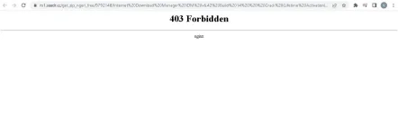 deadlink.webp