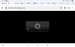 Screenshot_20240718-133949.webp