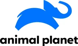 animal-planet-o2ehyvqzm7hr.webp