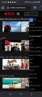 Screenshot_20240721-072428.webp