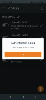 Screenshot_20240721_141853_OpenVPN Connect.webp Screenshot_20240721_141853_OpenVPN Connect.webp