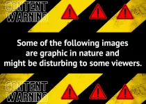 1721660236929.webp