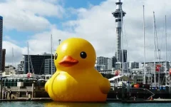 duck.webp