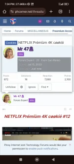 Screenshot_2024-07-29-19-34-02-024_com.android.chrome.webp