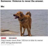 FB_IMG_1722262203757.webp