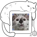FB_IMG_1722562352640.webp FB_IMG_1722562352640.webp