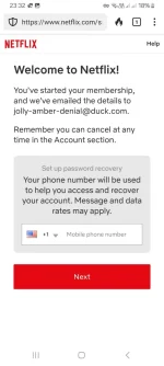 Screenshot_20240801_233241_DuckDuckGo.webp