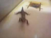 20240803_085820.webp
