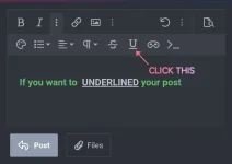 underlined.jpg