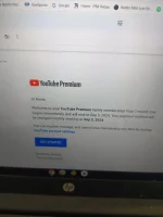 17228442595586642351364785760033.webp