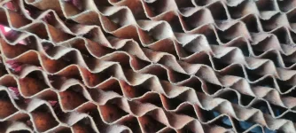 453445036_1198988854675035_5323745311534065902_n.webp