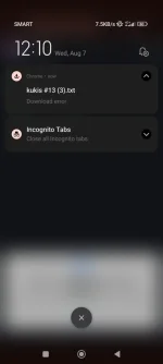 Screenshot_2024-08-07-12-10-32-871_com.android.chrome.webp