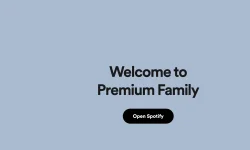 Screenshot 2024-08-08 at 8.41.34 PM.webp