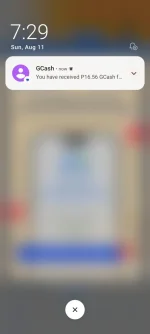 Screenshot_2024-08-11-07-29-27-267_com.globe.gcash.android.webp