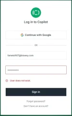 Capture.webp
