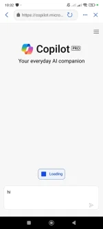 Screenshot_2024-08-12-10-32-09-295_com.microsoft.copilot.webp