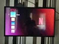 17237735984218305201683973159628.webp