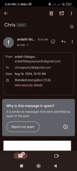 Screenshot_2024-08-16-17-33-02-974_com.google.android.gm.webp