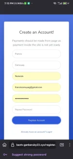 Screenshot_2024-08-17-19-15-04-504_org.mozilla.fenix.webp