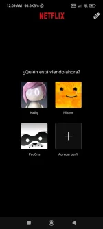 Screenshot_2024-08-19-00-09-19-314_com.netflix.mediaclient.webp