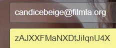 1724068835505.webp
