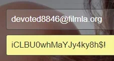 1724160421131.webp