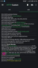 Screenshot_20240819-203836_HTTP Custom.jpg