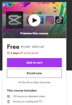 Screenshot 2024-08-13 005735.webp