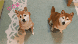 200.gif