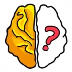 brain.webp