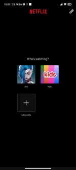 Screenshot_2024-08-29-10-07-52-274_com.netflix.mediaclient.webp