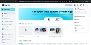 ss1.webp