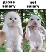 1725013591745.webp