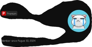 Screenshot_20240830-231909.webp